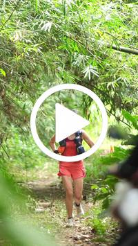 BIB:  <button type="button" onclick="openModal(26824555)" class="btn btn-primary btn-sm float-right" data-toggle="modal" data-target=".modal-high-quality">
                <i class="fa fa-download"></i> Download
                </button>